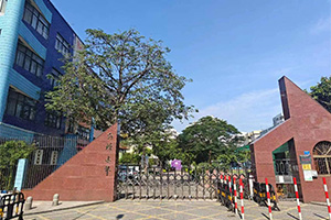 佛山市顺德区乐从红棉小学